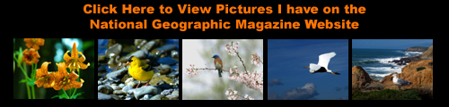 Link to Ron Storey's Pictures on National Geographics Magazine's Website